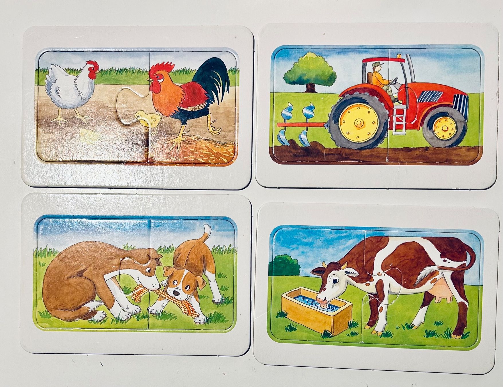 Ravensburger Puzzle: My first Puzzles – Usato da Riedholz venduto da Abendsonne 1