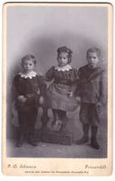 Fotografie F. A. Schwarz, Frauenfeld, am