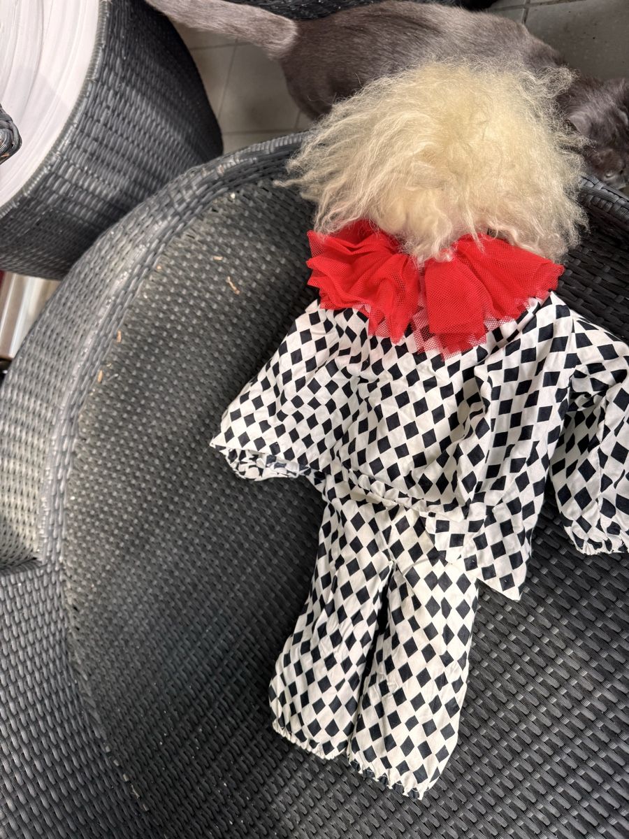 Poupées: Vermutlich nicht verfluchte Clown Puppe – D'occasion à Zürich par Goliat21 2