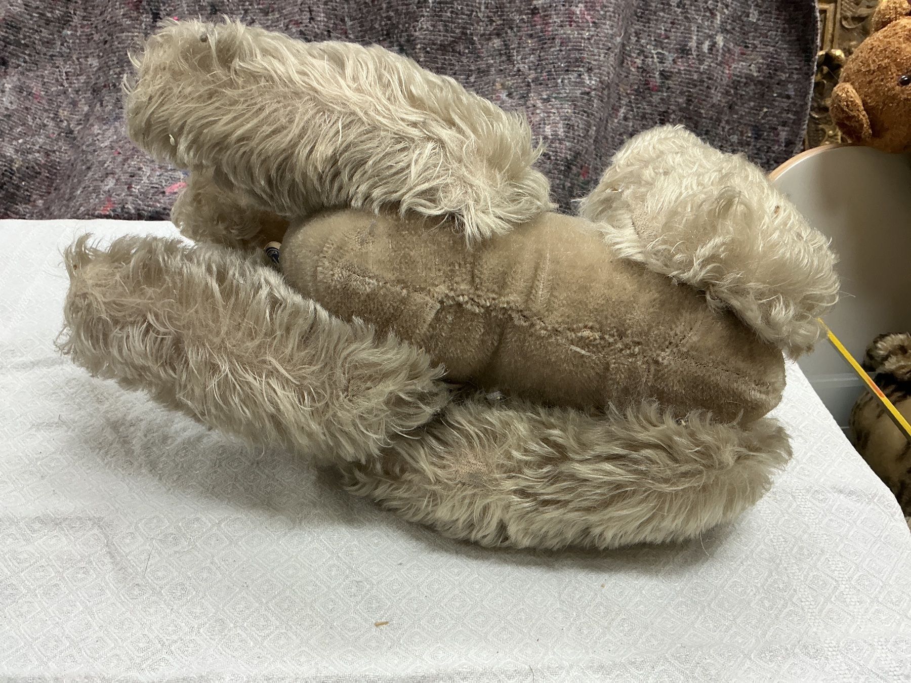 Giocattoli: Steiff Hund Snobby – Usato da Bern venduto da vielerart 4