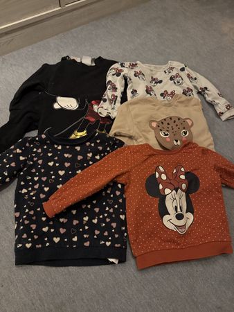 Pullover 80
