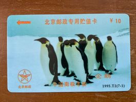 Telefonkarte  China, Pinguine