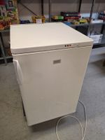 Gefrierschrank Zanussi TT110F 110 Liter, Top