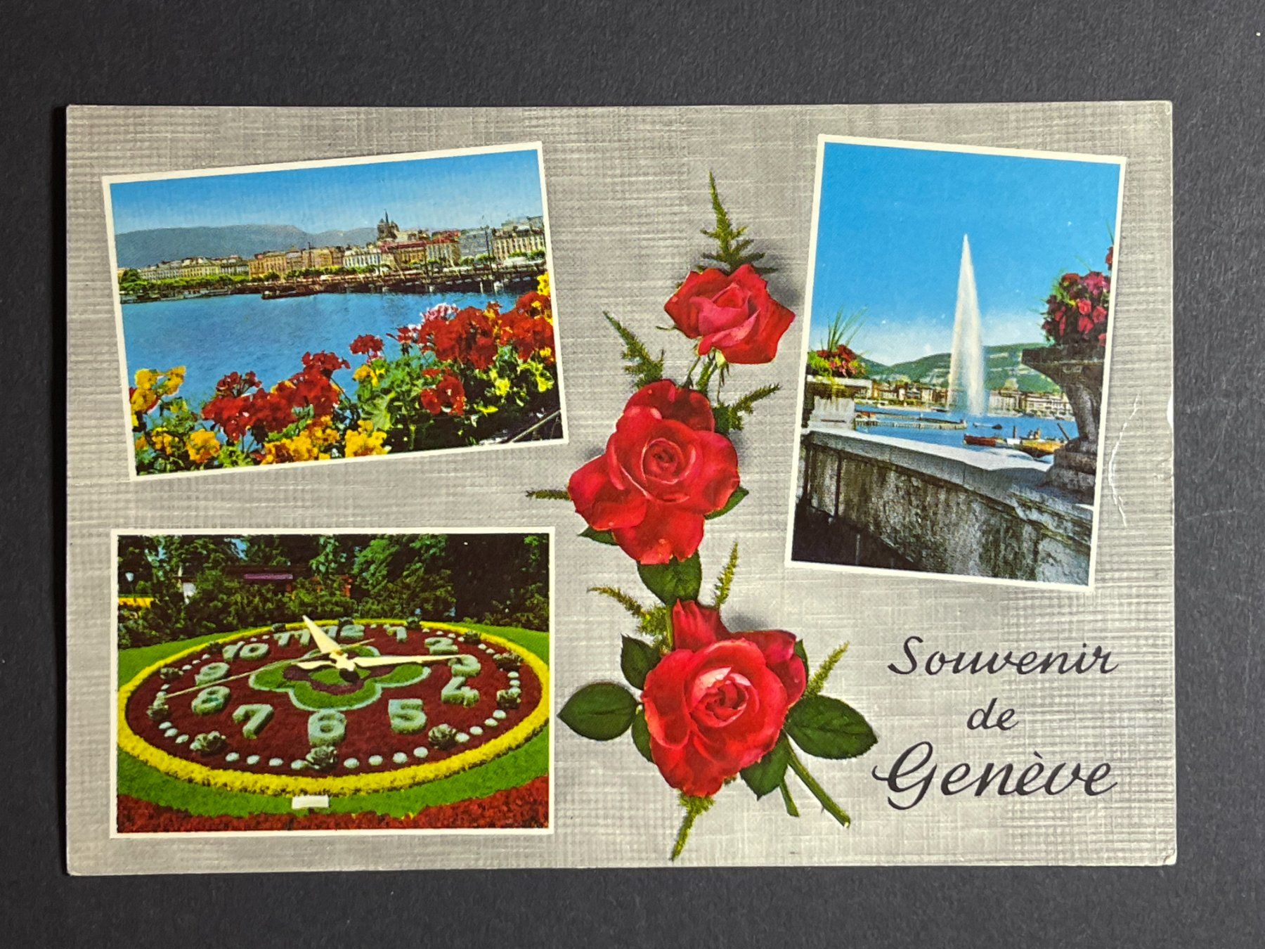 Cartoline postali: Souvenir de Genève – Usato da Steg VS venduto da _vinci_