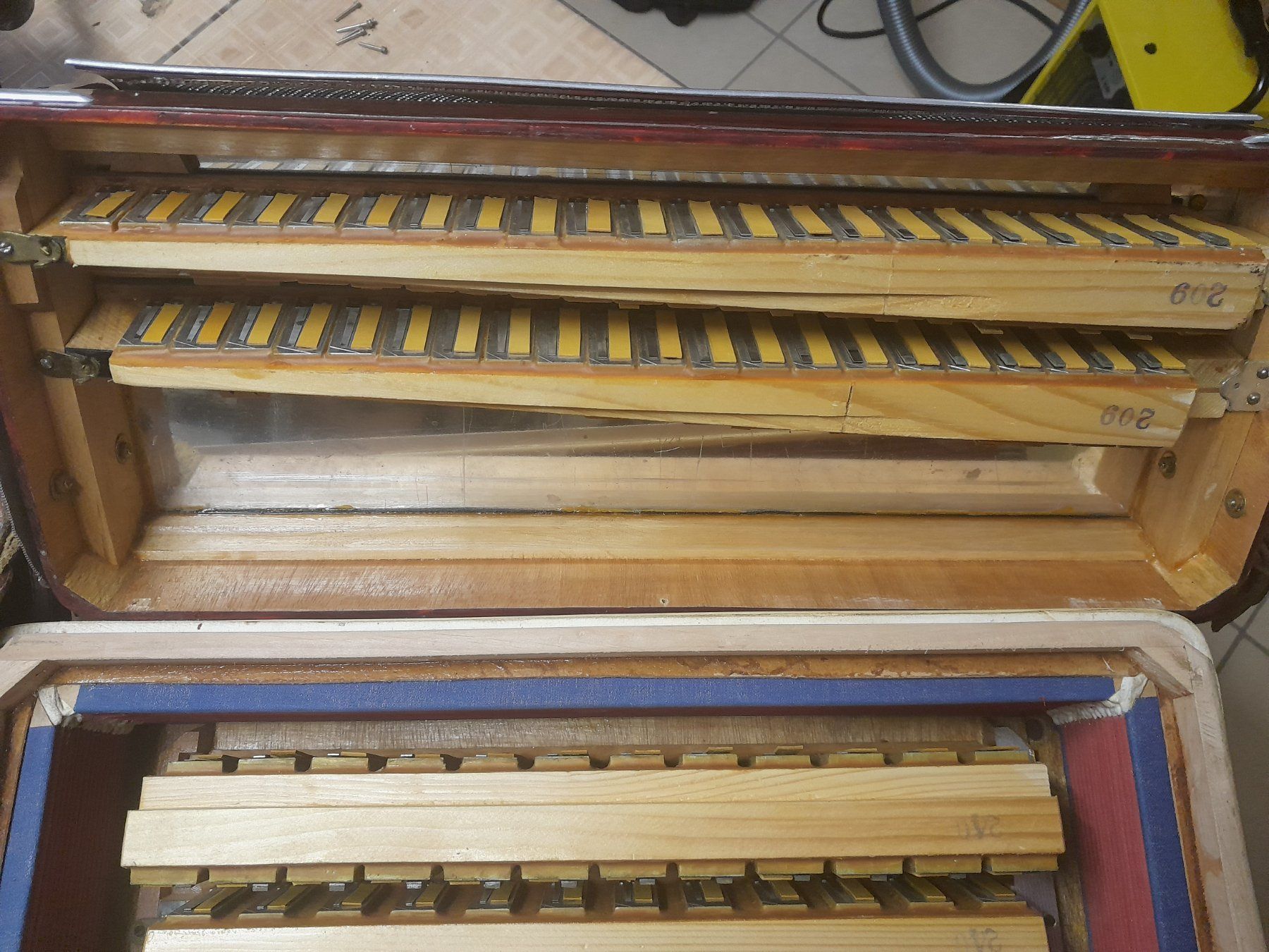 Strumenti musicali: accordéon DISE – Difettoso da Grandson venduto da Tutu44 1