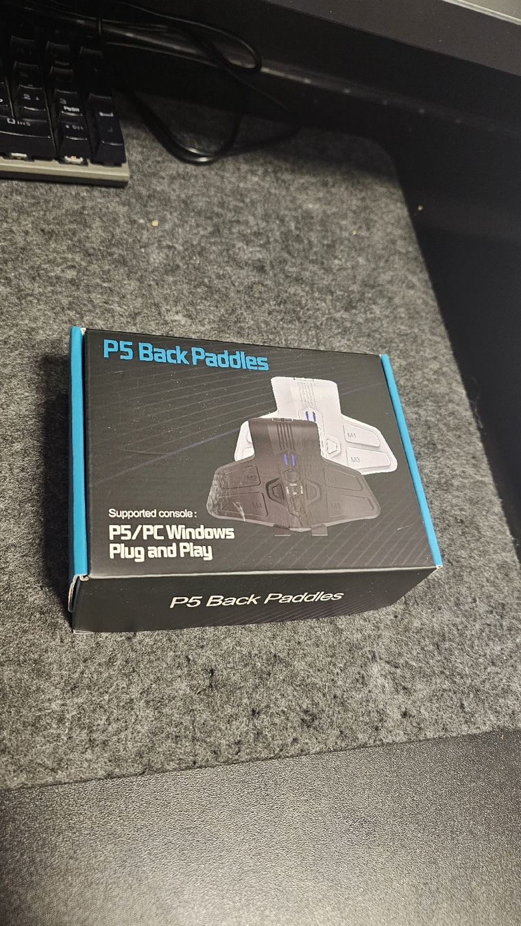 Pallets: P5 back paddles – Nuovo (secondo la descrizione) da Courtepin venduto da BSA2300