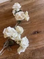 Rosen am Stamm
