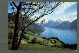 AK color Sisikon UR gegen Urner Alpen ≈ 1990
