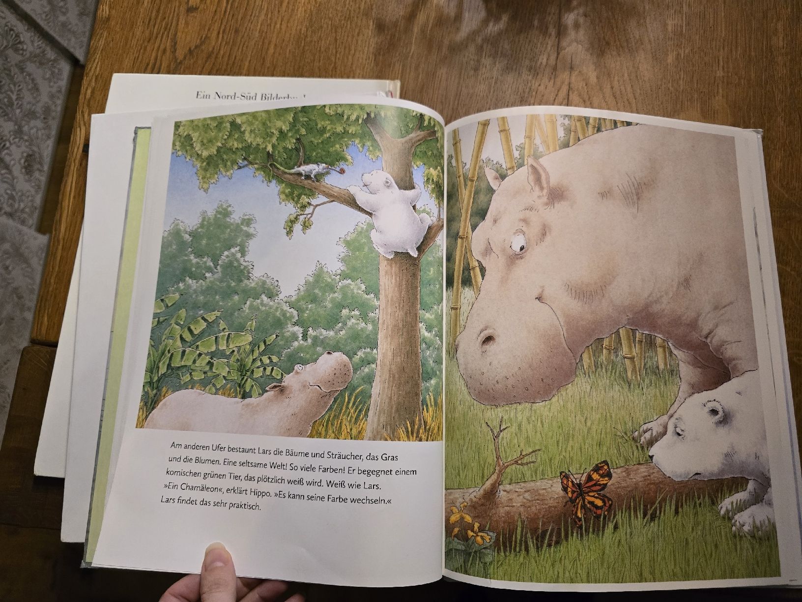 Libri: 3 Kleine Eisbär Bücher Hans de Beer set – Usato da Wittenbach venduto da Tigerlili 9