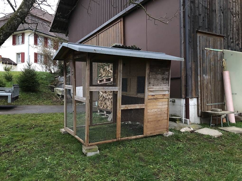Gabbie, trasporto & Sicurezza: Hühnerstall Kleintierstall mit Voliere – Usato da Wängi venduto da LMN940 2