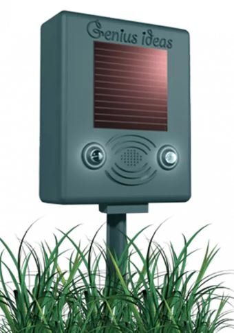 Sistemi d'allarme: Universal Vogelabwehr Sound & Flash ab Fr. 1.- – Nuovo e nell'imballaggio originale da Koppigen venduto da Bracher_Mail-House 5