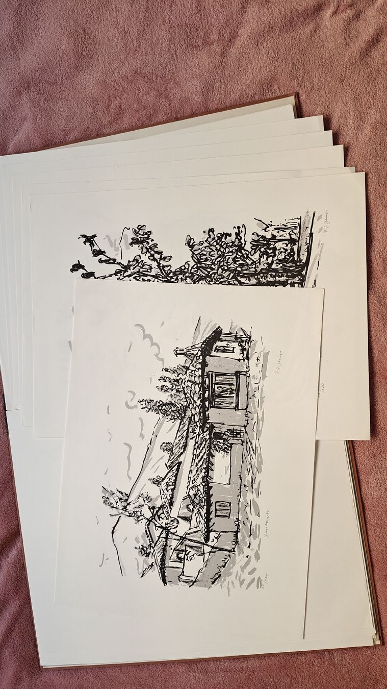 Grafica & Litografie: Bildmappe J. J. Zemp – Usato da Lausanne venduto da chwiese 8