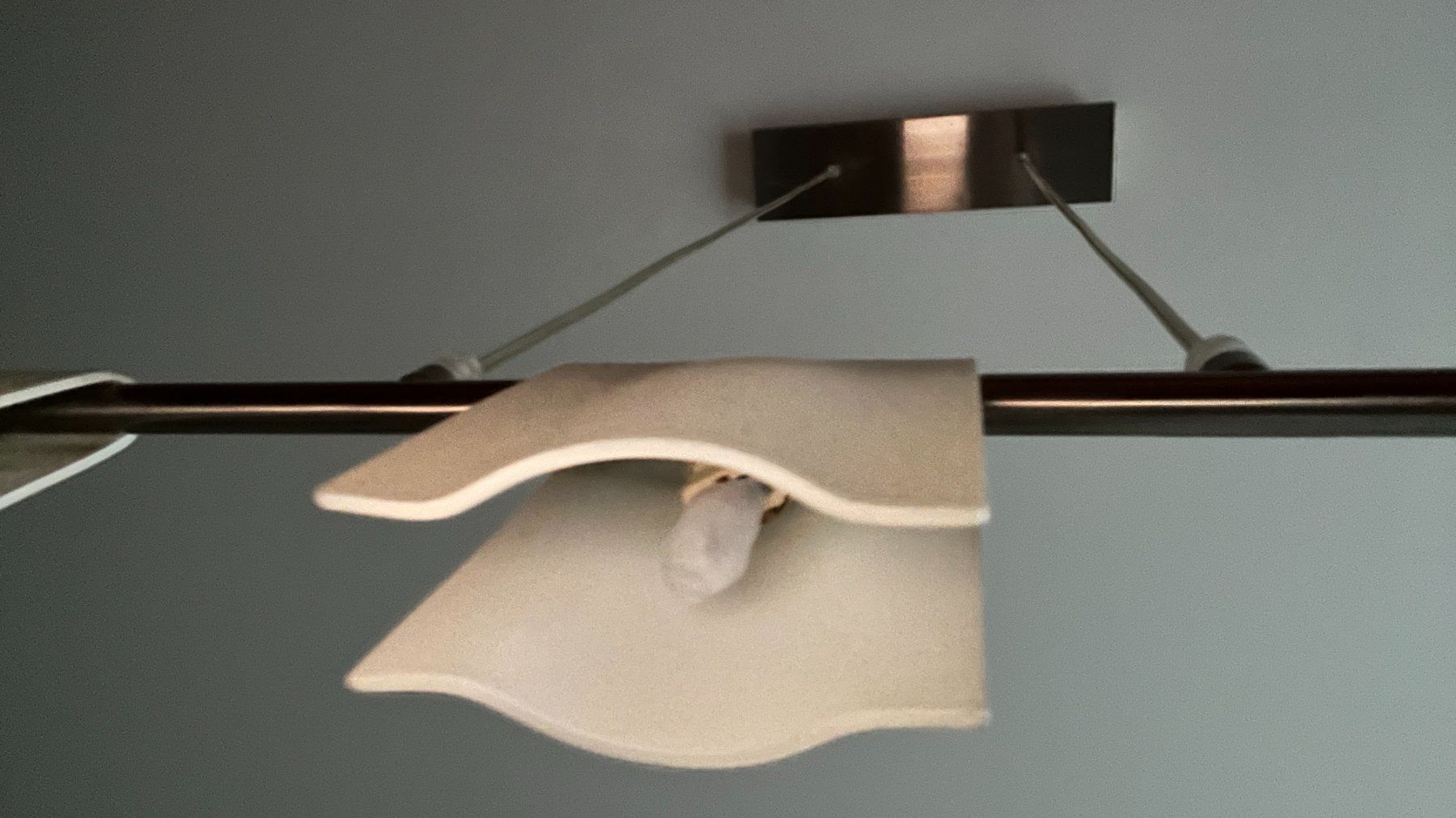 Lampadari & plafoniere: Stilvolle, dimmbare Hängelampe, 5x 40W – Usato da Ottenbach venduto da luckylukeworld 4
