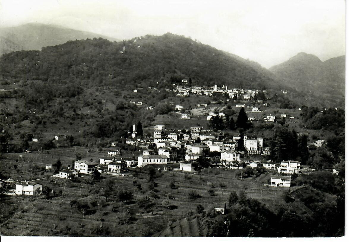 Cartes postales: Dino TI – D'occasion à Hochdorf par Ziegel-16