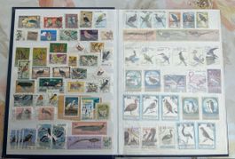 Weltweite Vogel und Tiere - Album inclusive