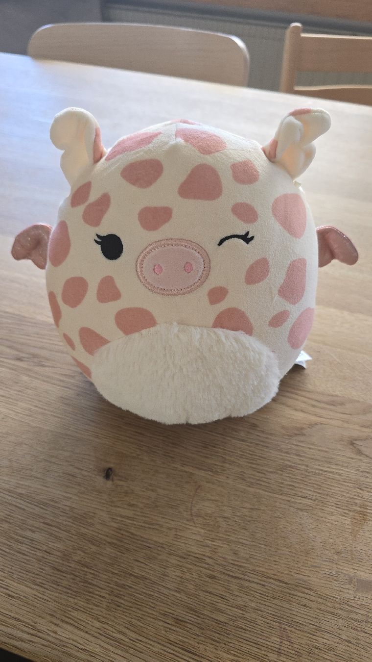Squishmallows Spielzeuge: Squishmallows Schweinchen Kuscheltier – Neu (gemäss Beschreibung) aus Buchberg von MaddieF