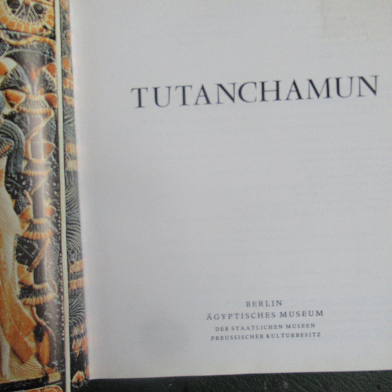 Libri: TUTANCHAMUN – Usato da Moosseedorf venduto da haro01 2