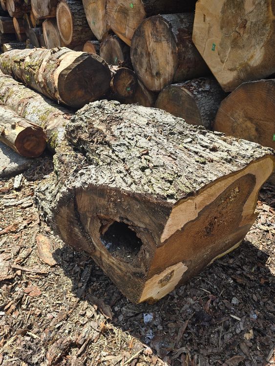 Articoli in legno: Nussbaum Rugel Hohl – Usato da Lützelflüh-Goldb venduto da ch.waelchli-holz.ch 1