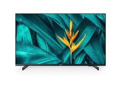 Philips Hotel TV 43HFL5214U/12, 43", UHD, 350cd/m², Netflix