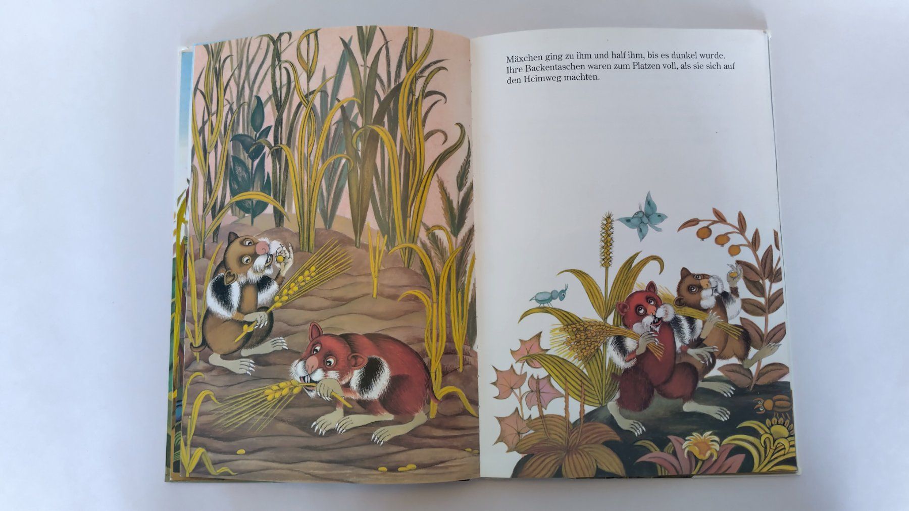 Libri: Mäxchen der Hamster /  Bilderbuch 1991 ab Fr. 8.- – Usato da Bellach venduto da JingleJerry 4