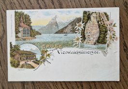 Gruss vom Vierwaldstättersee