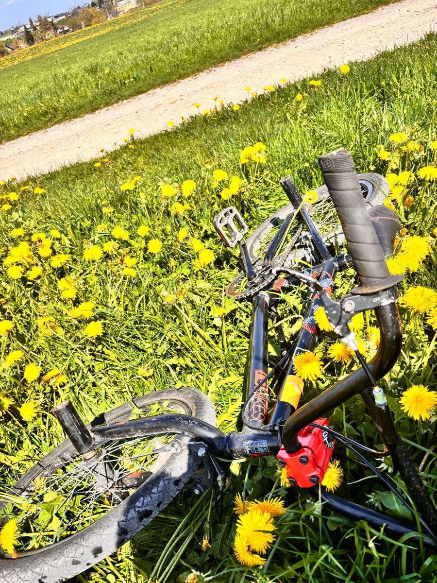 Felt Biciclette: Felt Bikes BMX – Usato da Gossau SG venduto da sangos 5