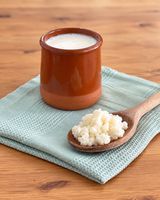 Frische Milchkefirknollen / Kefirpilz – ca. 10 g