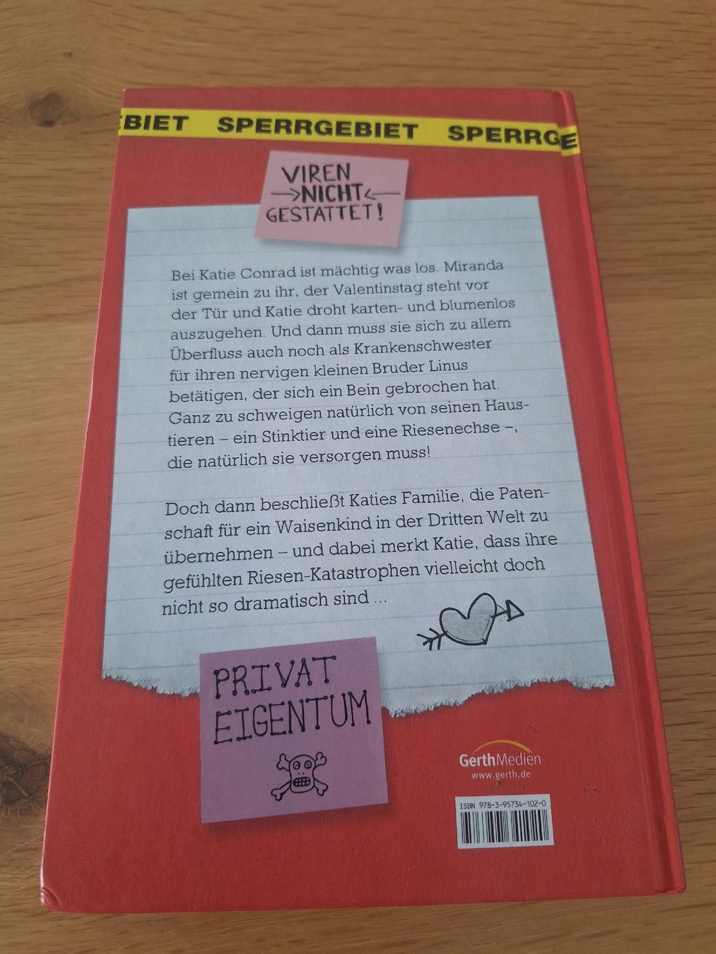 Libri: Buch Diva Diaries – Usato da Wanzwil venduto da chlinih93 1