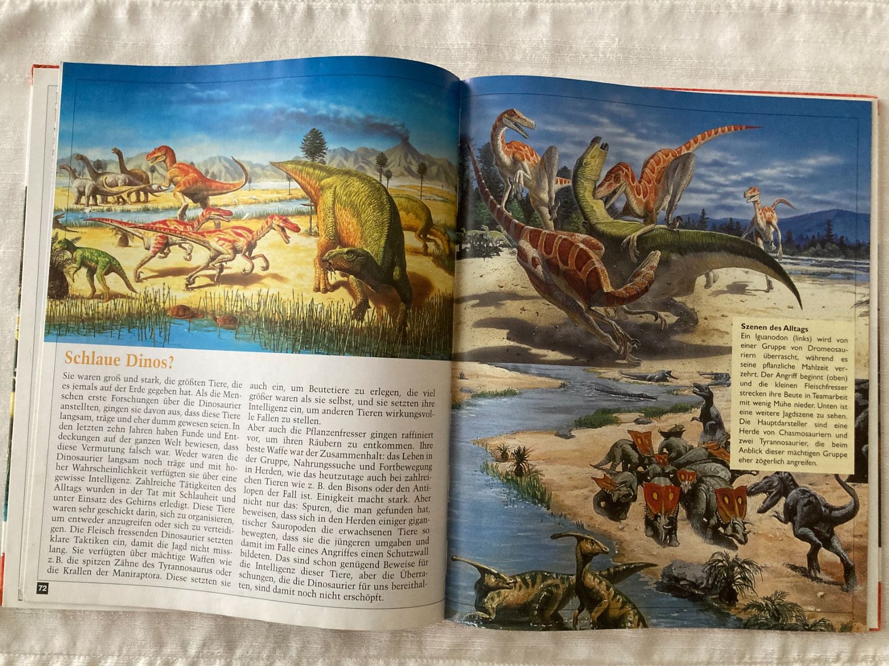 Libri: ***   Dinosaurierbuch   ***    Neuwertig   *** – Nuovo (secondo la descrizione) da Niederuzwil venduto da LaBambola 3