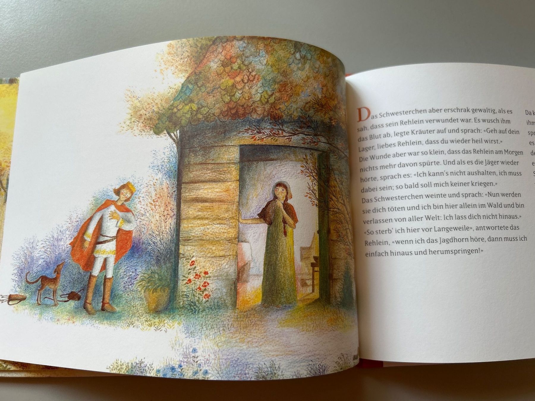 Libri: Brüder Grimm Brüderchen und Schwesterchen Kinderbuch gute... – Nuovo (secondo la descrizione) da Villnachern venduto da RicardoMary 2