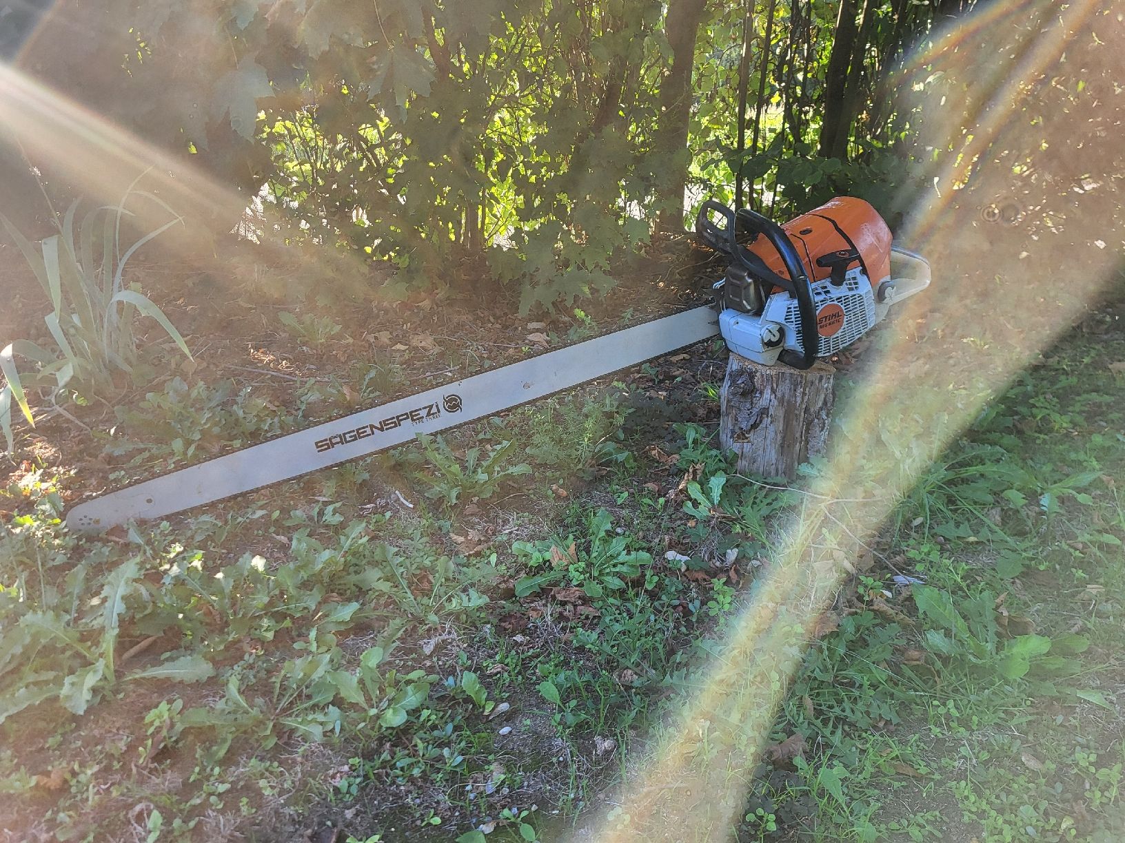 Seghe: Stihl MS 661 – Usato da Oftringen venduto da gru_l6yd