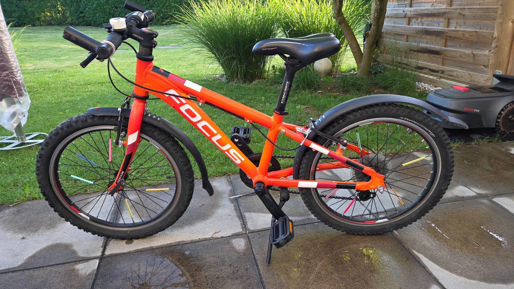 Focus Biciclette: Kinder-Velo 20", Marke FOCUS – Usato da Gossau SG venduto da Mr_raab