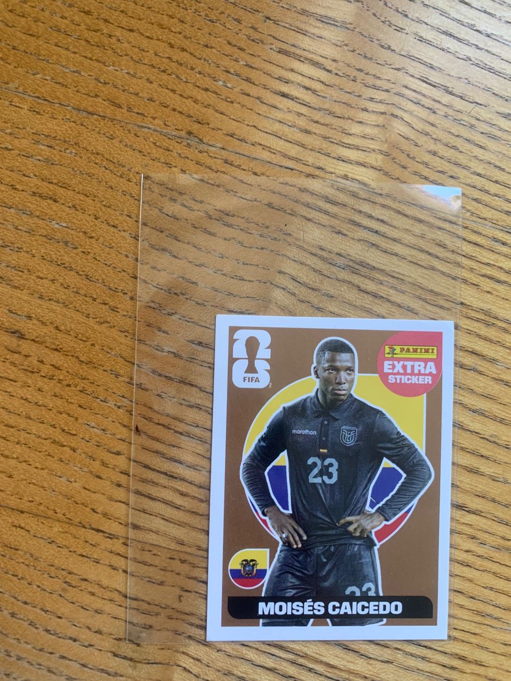 Panini Sammelbilder & Trading cards: Panini Extra  Sticker Moises Caicedo Bronze – Gebraucht aus Zürich von Kasza 1