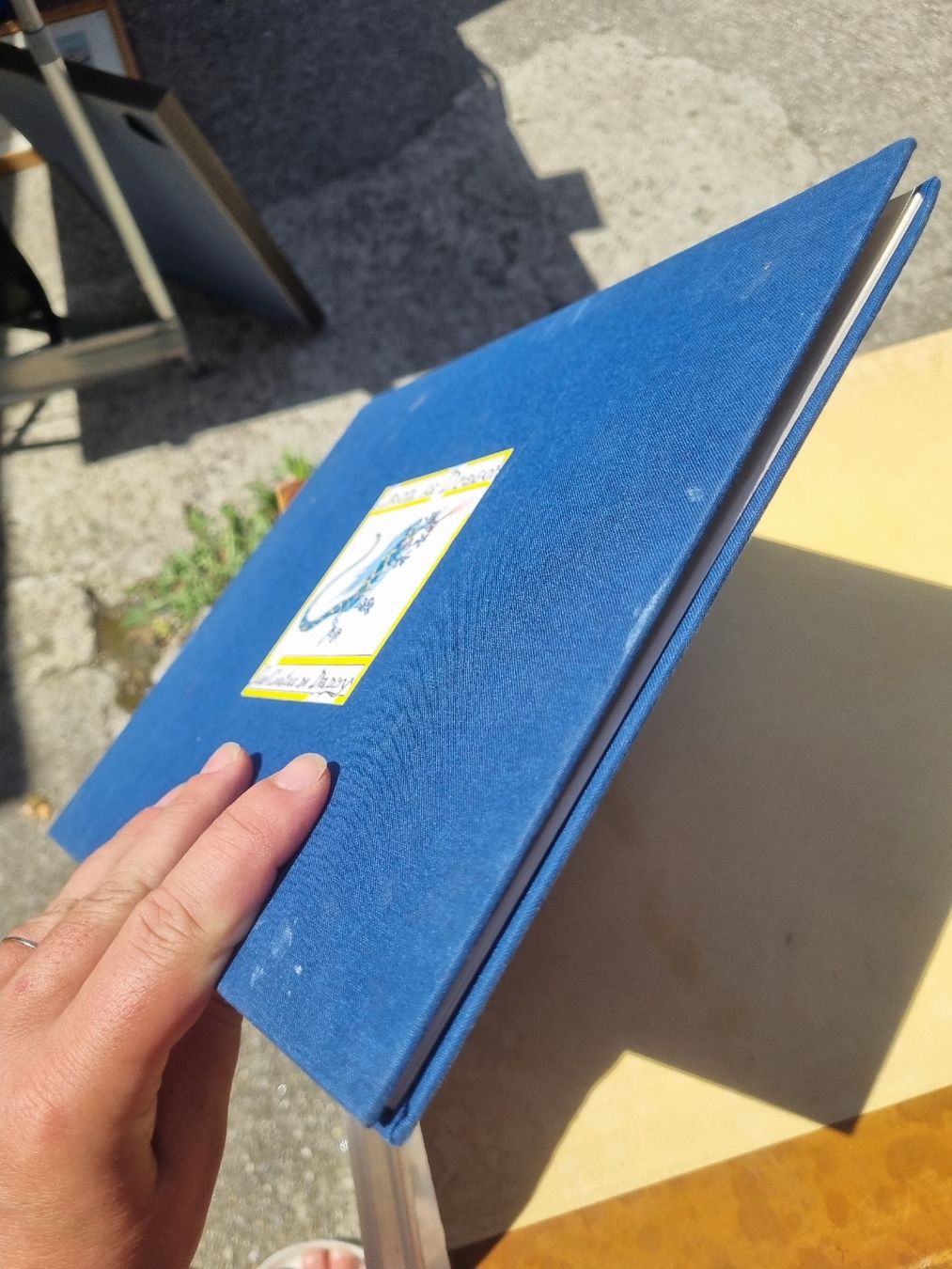 Libri: Livre Leon le Dragon "Les Contes de Daddy"  – Usato da Fribourg venduto da sal_5ln6 3