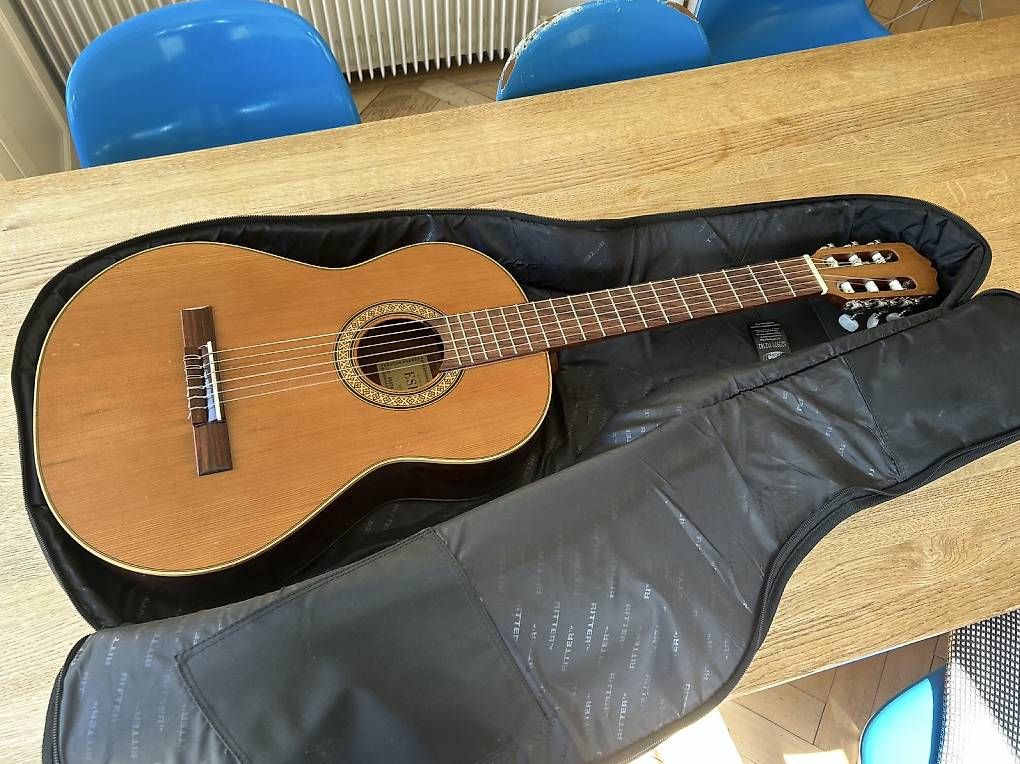 Strumenti musicali: Gitarre Espala S-61 – Usato da Schlieren venduto da kasuemir 4