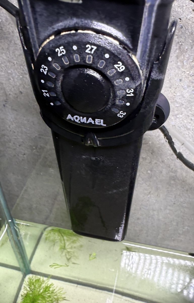 Aquarium: Nano Cube Dennerle 60L Aquarium – Gebraucht aus Winterthur von Lati85 4