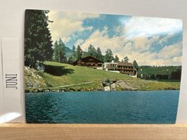 AK von Blaukreuzferienheim Seebüel / Davos Wolfgang