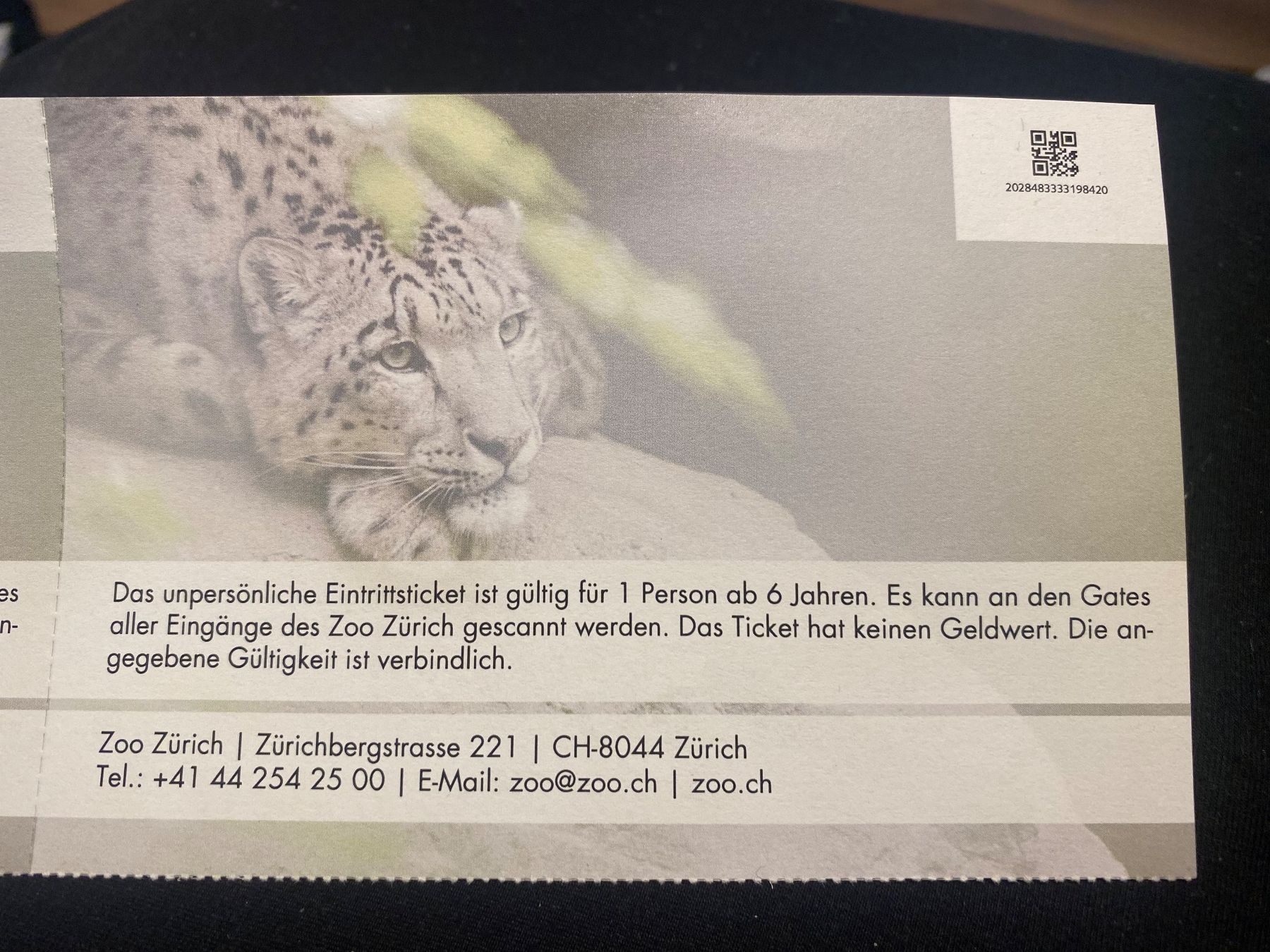 Buoni: Eintritte Zoo Zürich – Nuovo (secondo la descrizione) da Belp venduto da Kasparov_K 2