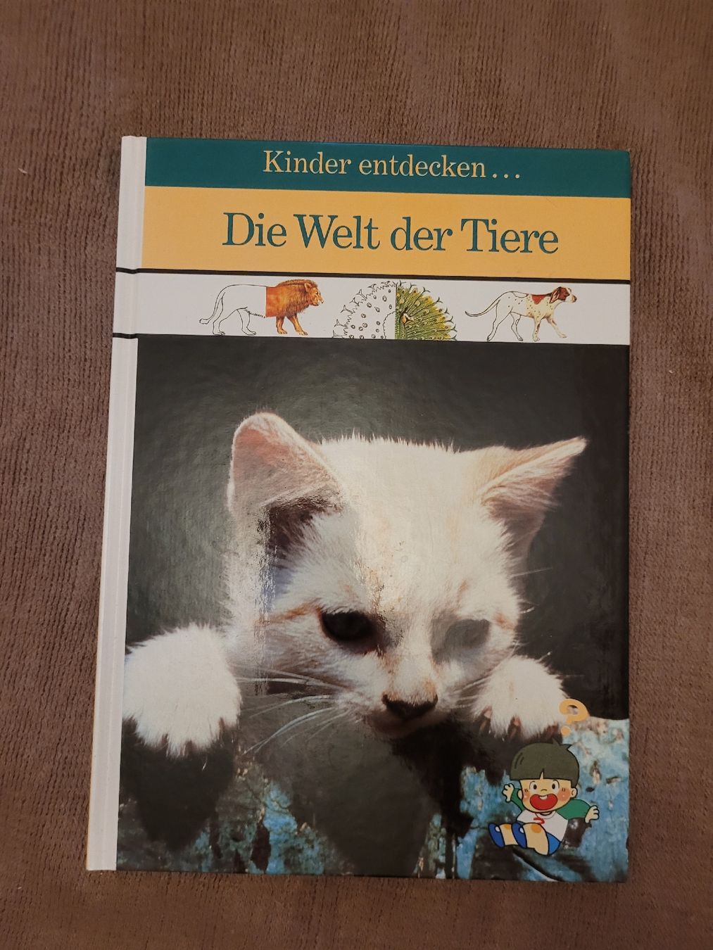Libri: Kinderbuch: Die Welt der Tiere – Usato da Perlen venduto da Safari_23