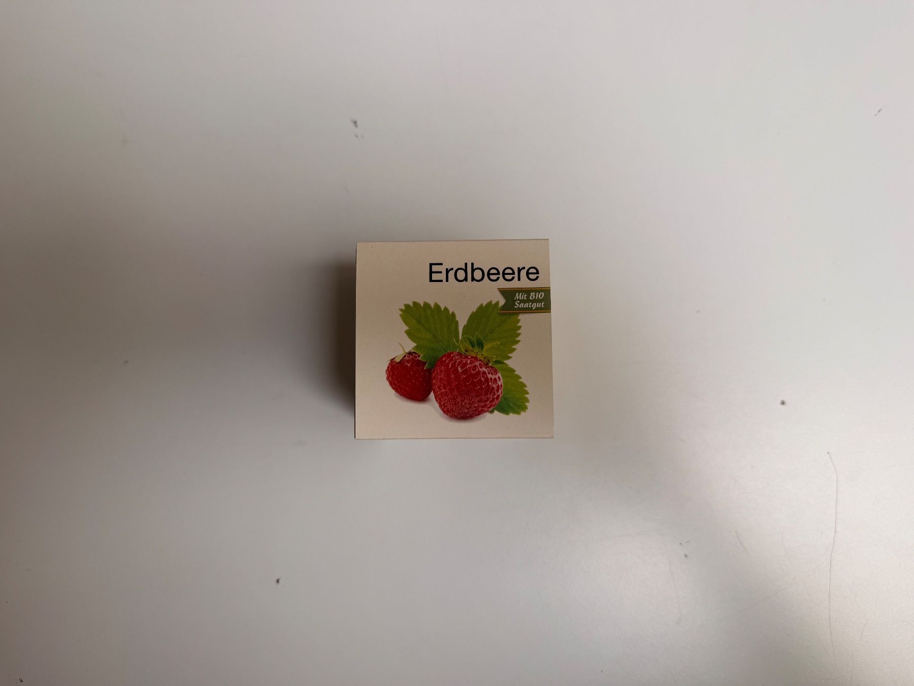 Piante & sementi: EcoCube Erdbeere Bio Saatgut neu – Nuovo e nell'imballaggio originale da Zug venduto da isdach 1