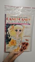 Nakayoshi Deluxe Album – Candy Candy Illustration