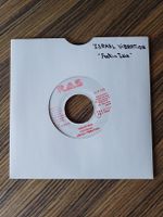 Israel Vibration "Feelin Irie" 45t