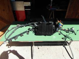 Elektrik