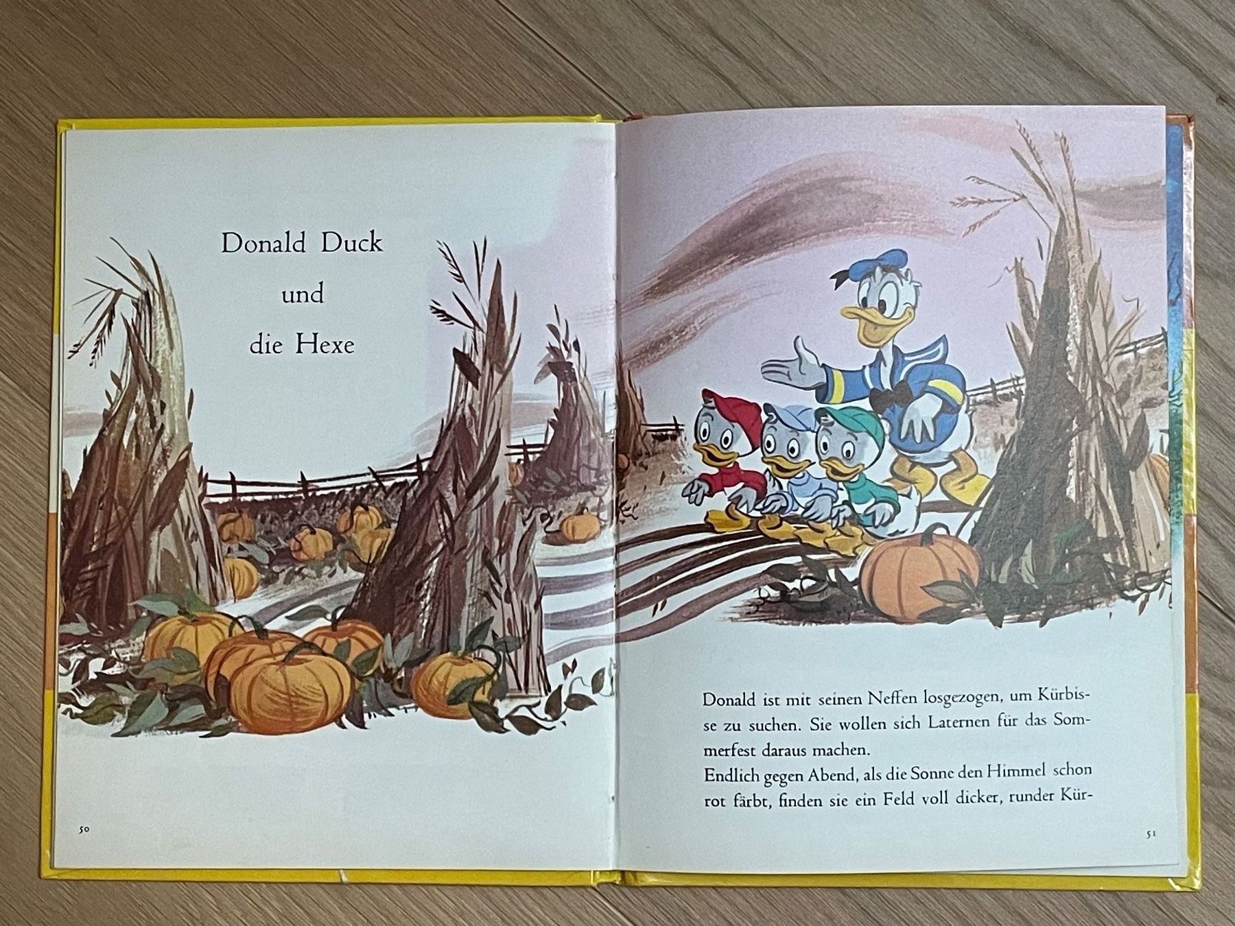 Libri: DONALD DUCK -  Das grosse Donald Duck Buch – Usato da Zürich venduto da plumita 1