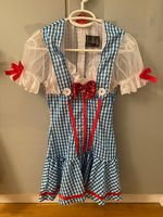 Kostüm Fastnacht Karneval Fasching gr. XS