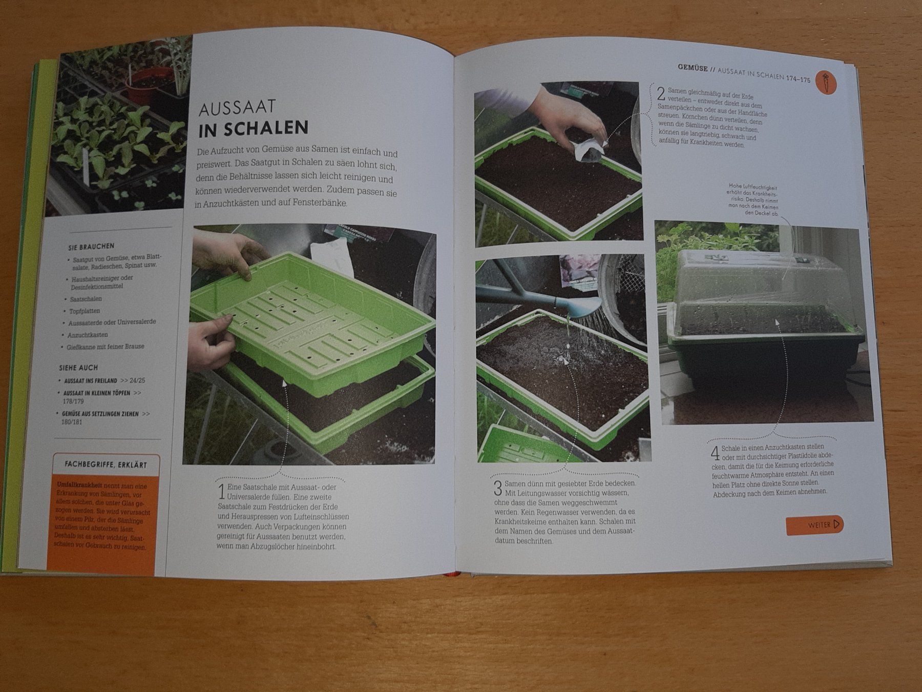 Bücher: So geht Garten: Das Gartenbuch für Einsteiger – Gebraucht aus Rotkreuz von nigal 2