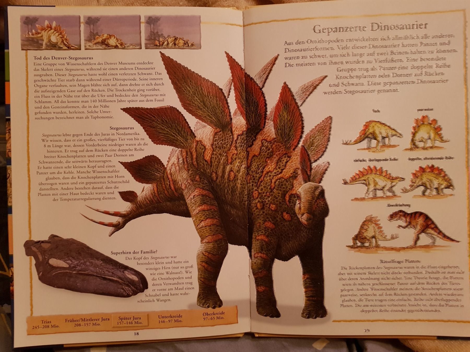 Livres: Buch Dinosaurier: Pflanzenfresser – Neuf avec emballage d'origine à Schwarzenburg par Flamingo07 2