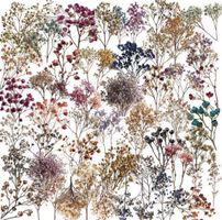 50 Aufkleber Sticker - getrocknete Blumen
