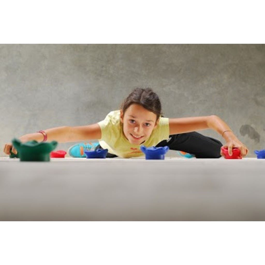 Kletterwände & Klettergriffe: Kletterstein - 12 Stk. Klettergriffe – Neu und originalverpackt aus Wettingen von kochshop 1