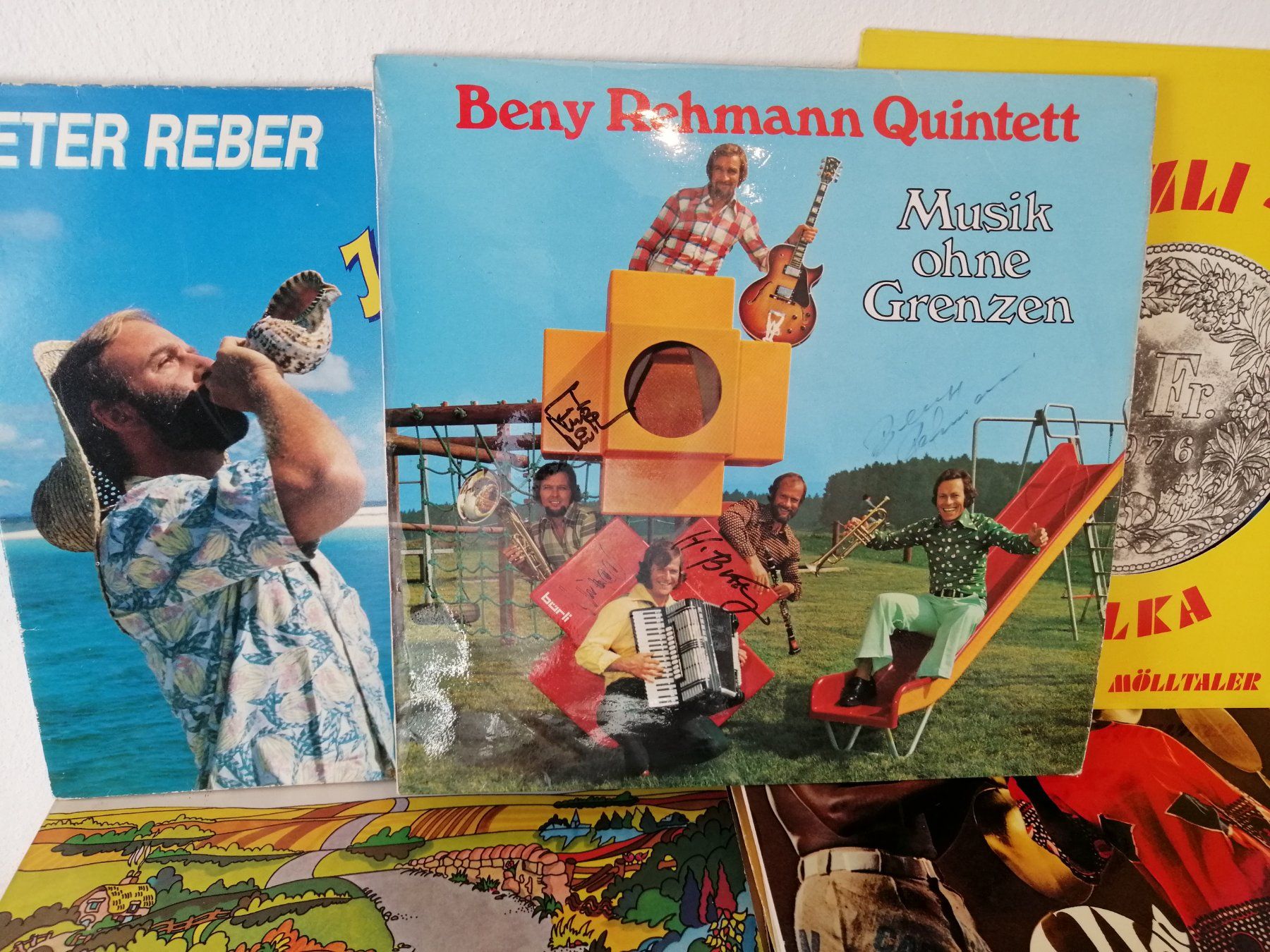 Dischi in vinile: 250+ LP Sammlung & 110+ Singles – Usato da Tegerfelden venduto da nathika 2